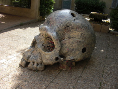 skull